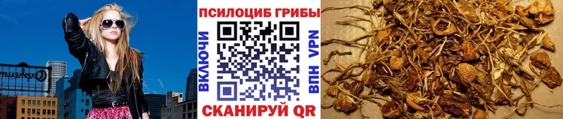 дарнет шоп  Красновишерск  Псилоцибиновые грибы ЛСД 